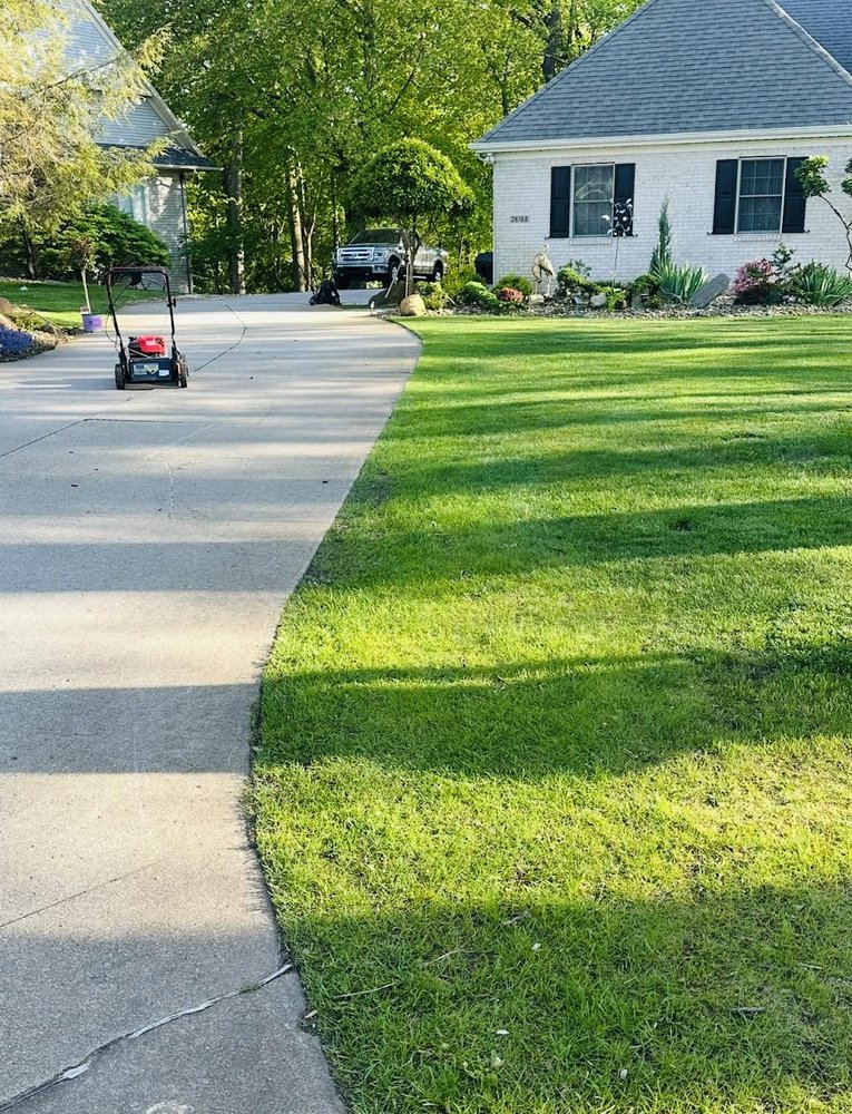 Trimmed hedges and curb detail