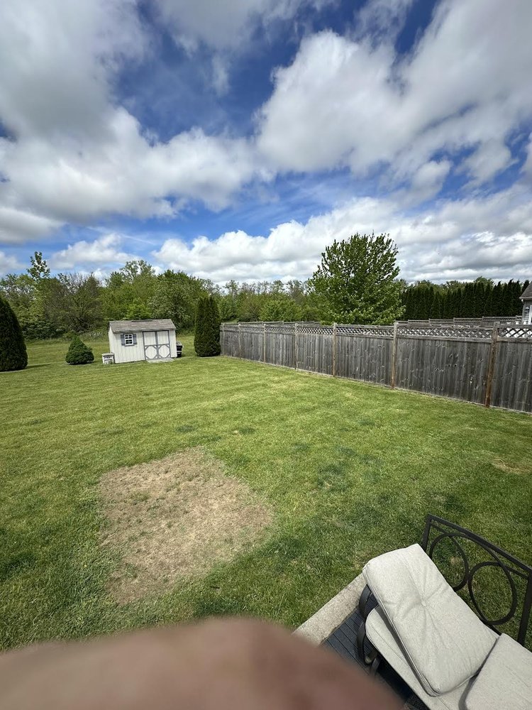 Front yard with clean mowing lines
