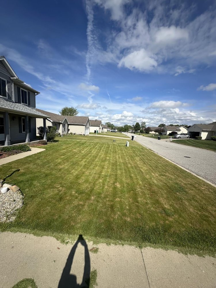Bush Trimming & Mulch