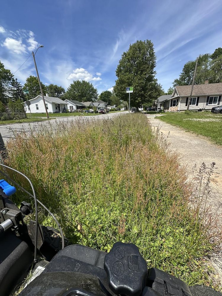 Weed, Dirt & Rock Removal